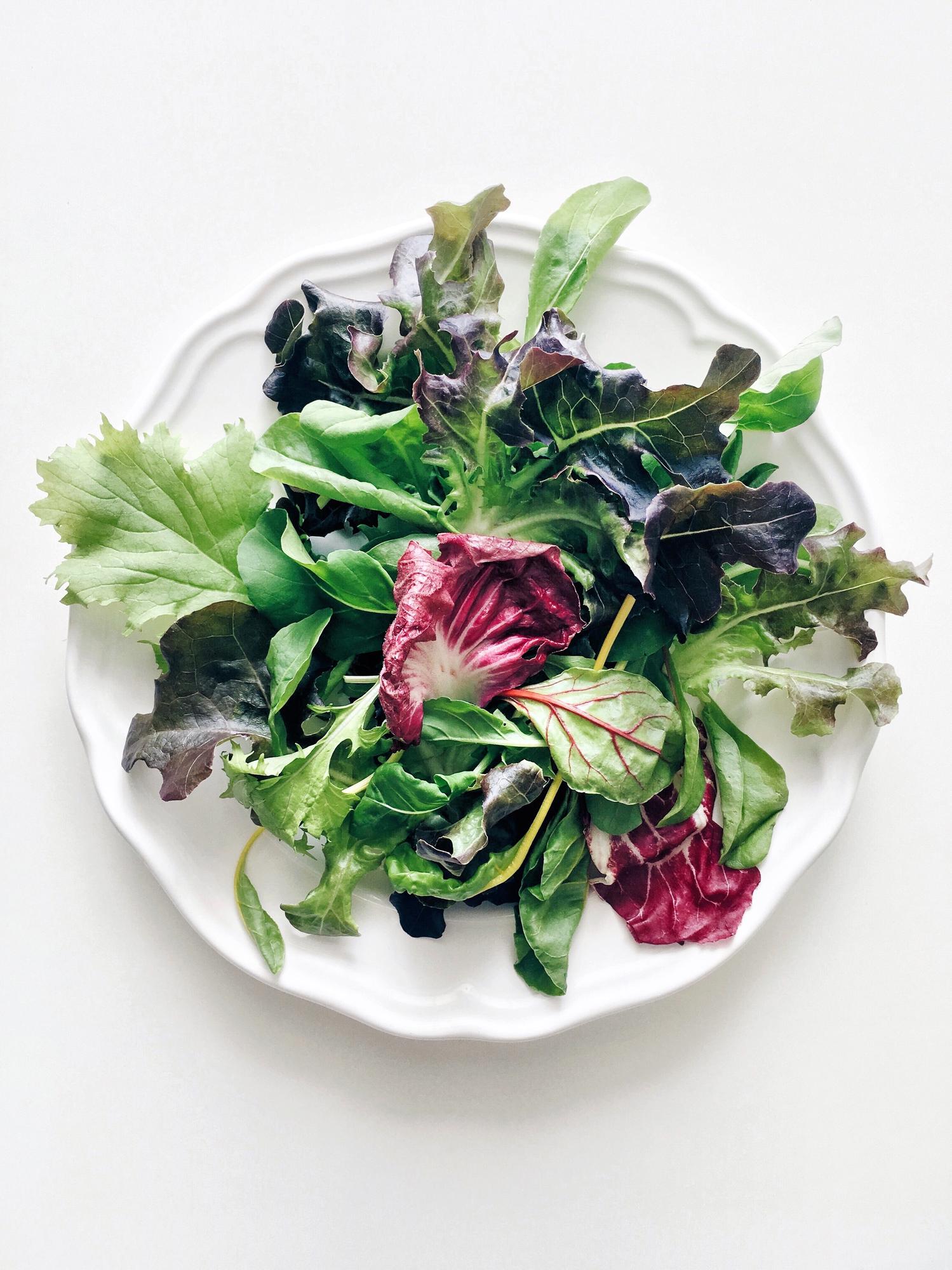 Close-up plated seasonal salad